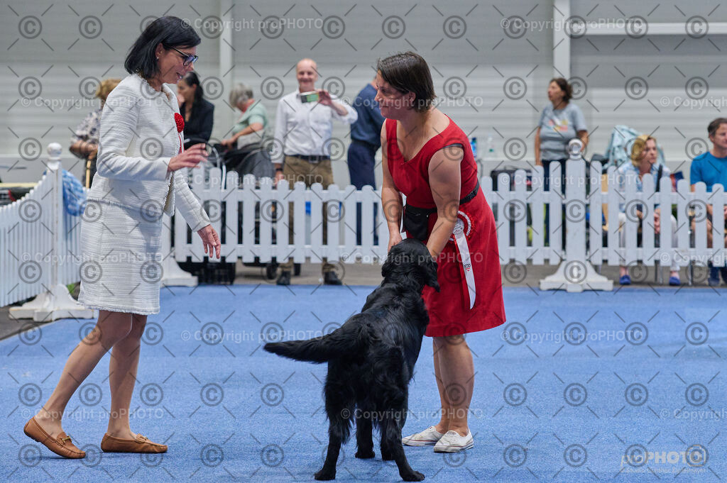 202406_ÖKV-IHA-Tulln24_DSC_5098 | proPHOTO - Realisiert mit Pictrs.com