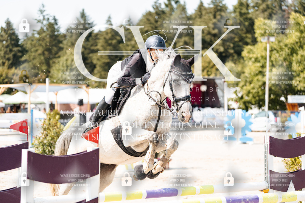 CK901910 | Turnierfotografie Pferdefotografie Trier Rheinland-Pfalz Pferdesport Reitsport Tierfotografie Sportfotografie Pferdevideo Pferdevideografie Equestrianvideography equestrianphotography  - Realisiert mit Pictrs.com