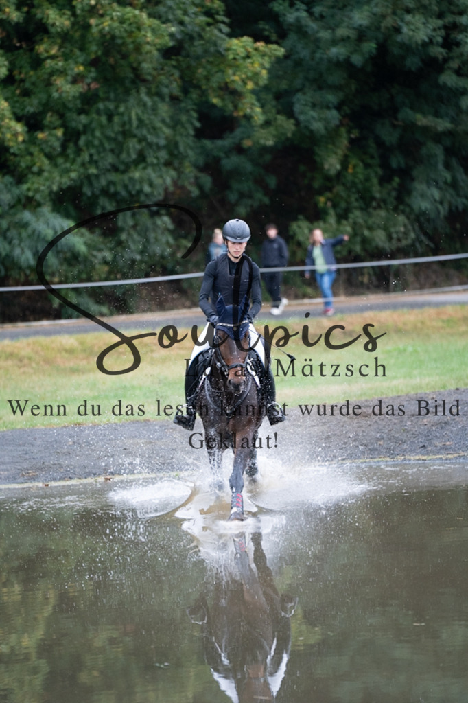 A7V00161 | Pferdefotograf