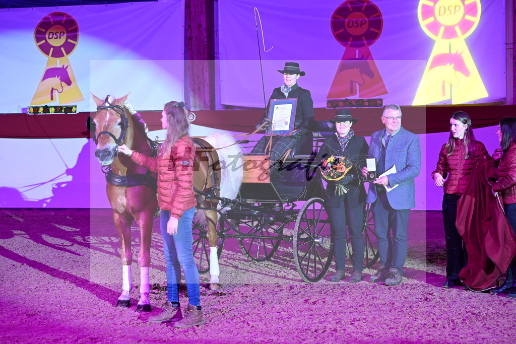 DSP_Avici_As_Karosser_2254558 | hf-fotografie - Realisiert mit Pictrs.com
