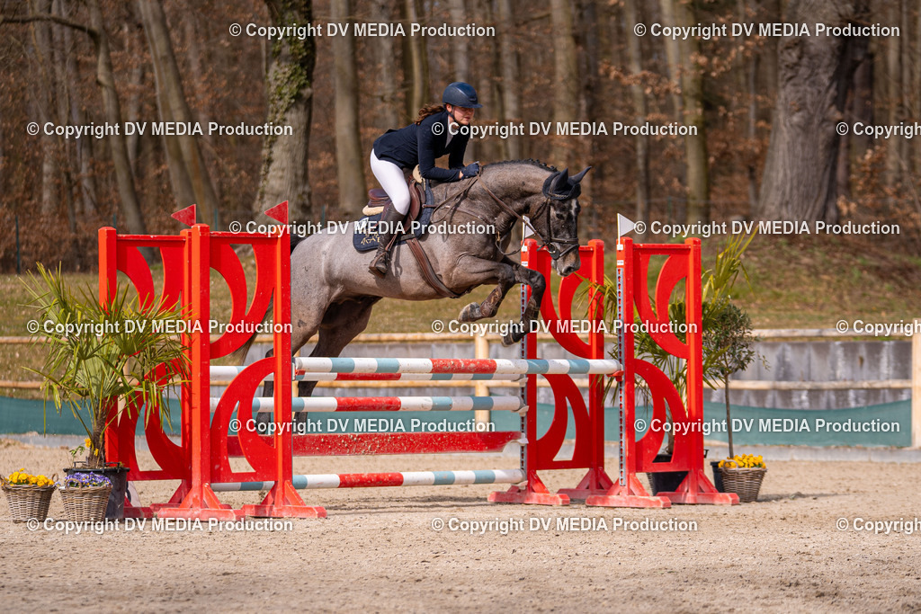 Kranichstein Tag 1-692 | dv-media-shop - Realisiert mit Pictrs.com