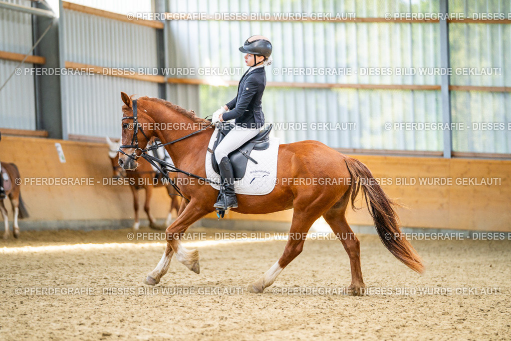 DSC02968 | Pferdegrafie