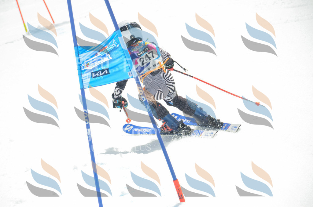 _ELE7515 | holidayphoto