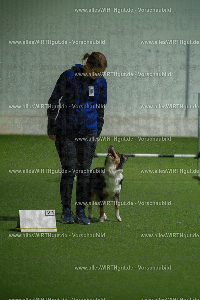 7R508202 | Professionelle Tierfotografie in Mönchengladbach von Daniel Wirth (allesWIRTHgut). Liebevolle & natürliche Bilder von Hunden & Katzen für unvergessliche Erinnerungen.