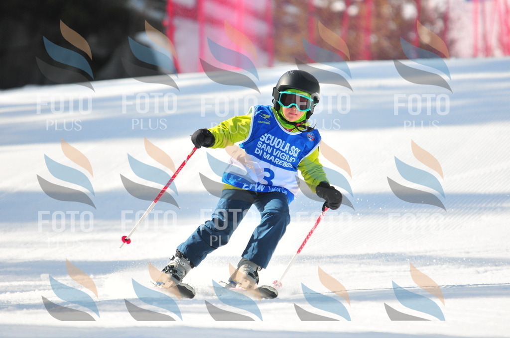 B8946 | holidayphoto