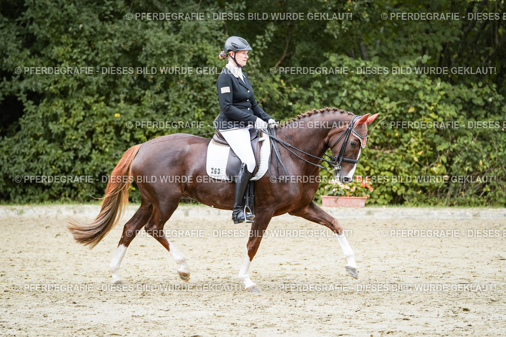 DSC06775 | Pferdegrafie