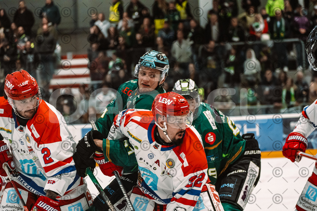 Alligators_vs_Peiting_04_10_2026-23 | Die Fotogalerie von Daddel: professionelle Bilder von Sport, Events und Unternehmen aus Franken. Jetzt Galerien durchstöbern und Lieblingsfotos bestellen. - Realisiert mit Pictrs.com