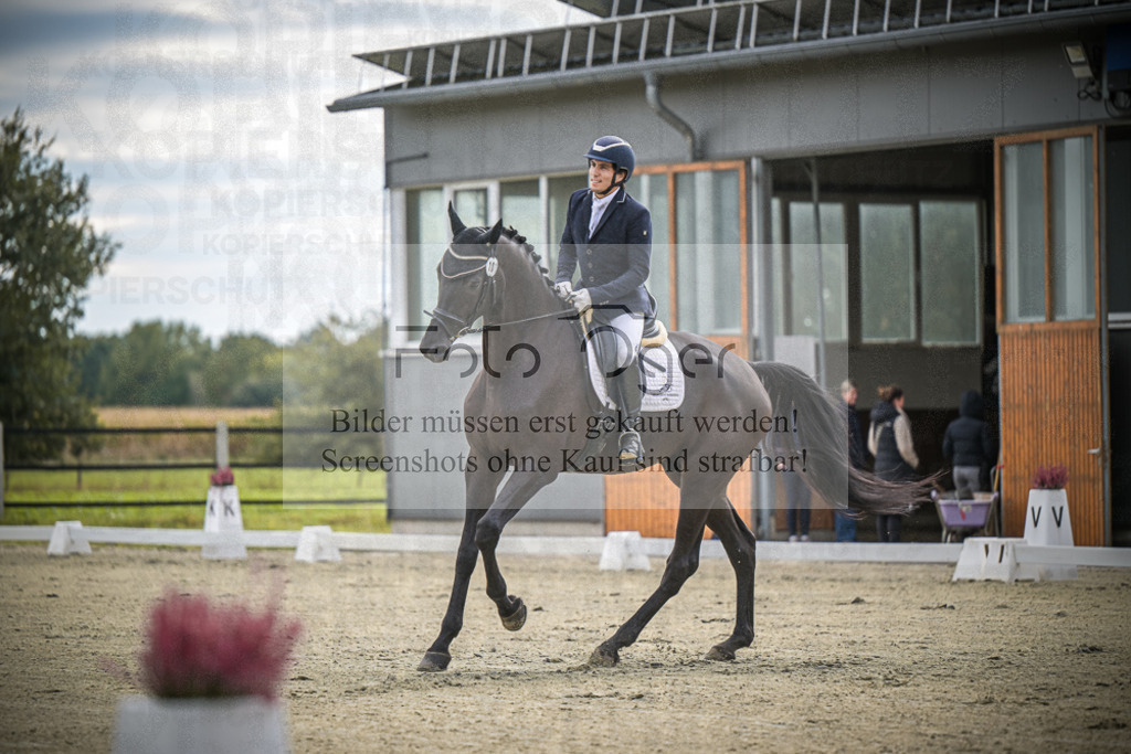 DOS_0319 | Entdecke hochwertige Reitturnierfotos von Foto Oger. Professionell, emotional und authentisch – jetzt Lieblingsmomente im Shop bestellen.Deutschlandweite Turnierfotografie. - Realisiert mit Pictrs.com