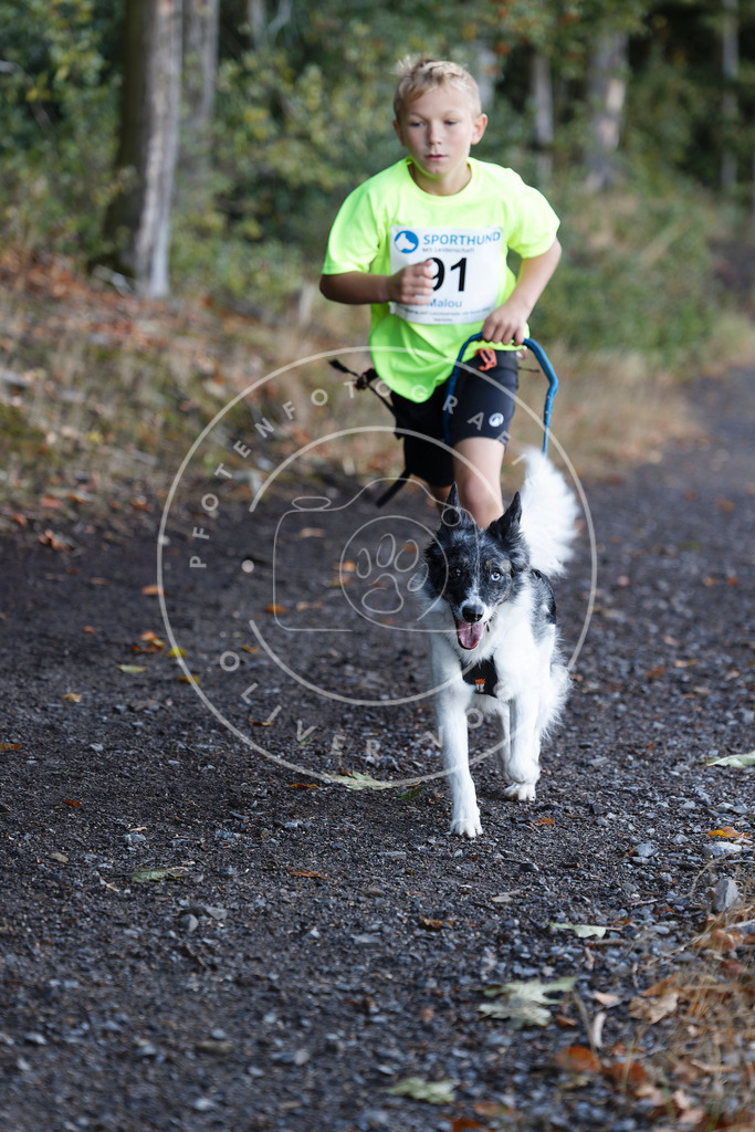 0L8A2173 | Hundefotografie, Tierfotograf, Pfotenfotografie, Fotoshooting Hund, Hunde Portrait, Hundesport, Hundeportraits, Heideshooting, Hunde, Sportfotograf, Hundefotograf, Turnierhundsport, THS,  - Realisiert mit Pictrs.com