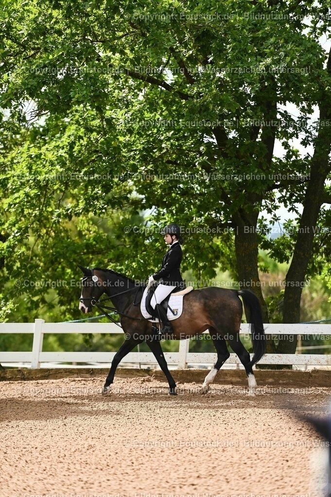 20230716_10-1_Reiter-WB Schritt - Trab - Galopp_0111 | equistock