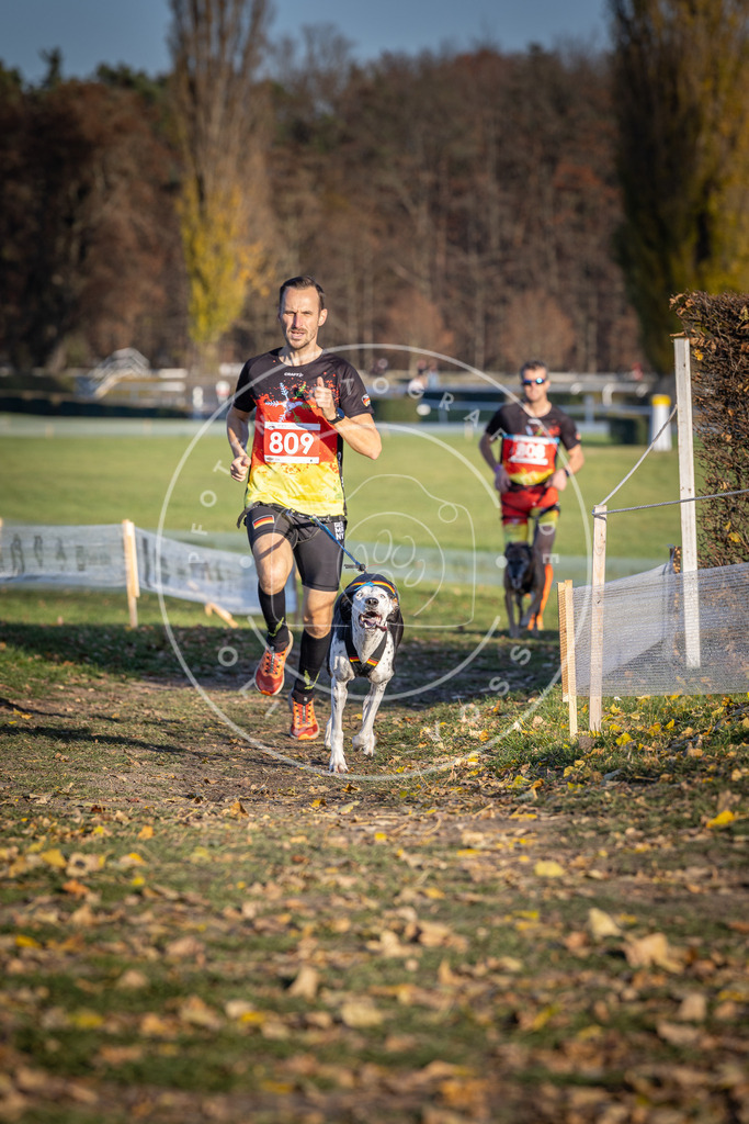 CaniXpix_DV3A2981 | Hundefotografie, Tierfotograf, Pfotenfotografie, Fotoshooting Hund, Hunde Portrait, Hundesport, Hundeportraits, Heideshooting, Hunde, Sportfotograf, Hundefotograf, Turnierhundsport, THS,  - Realisiert mit Pictrs.com