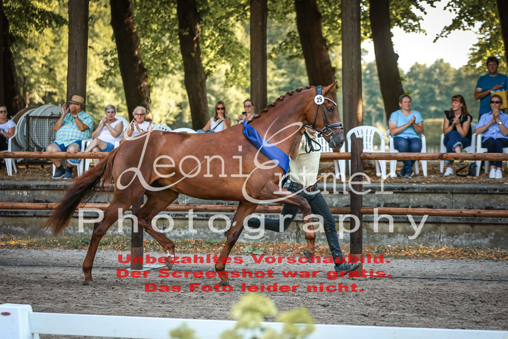 DoER00108 | Leoni Ertmer Photography - Realisiert mit Pictrs.com