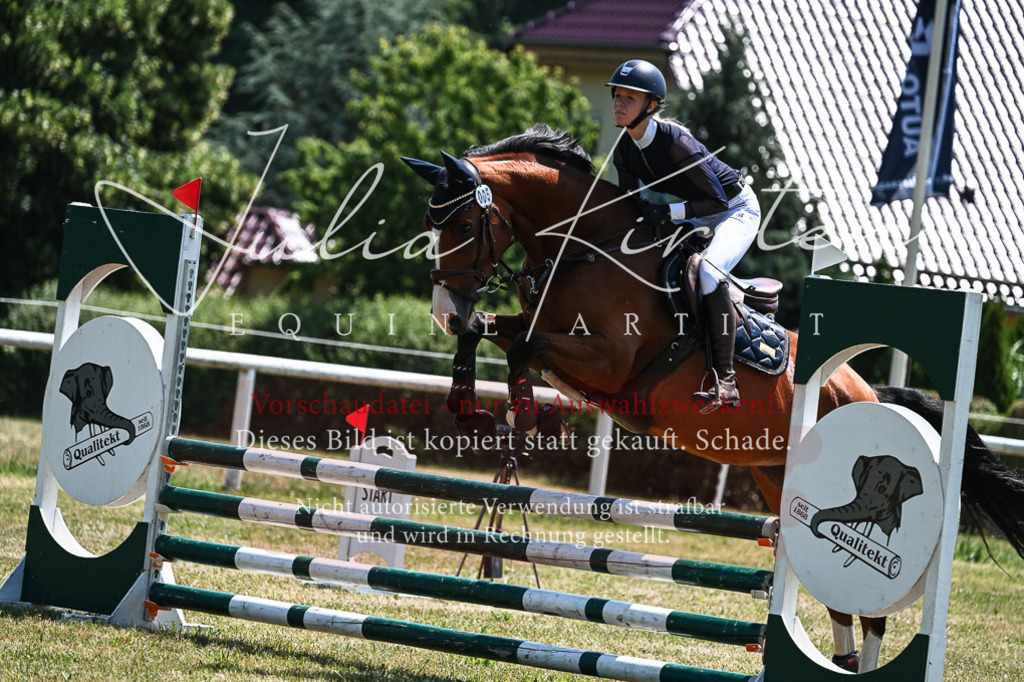 DSC_0177 | Pferde- und Turnierfotografie in Westsachsen. Pferdeportraits, Auftragszeichnungen und intuitive Kunst.