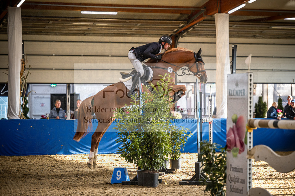 DOS_2563 | Entdecke hochwertige Reitturnierfotos von Foto Oger. Professionell, emotional und authentisch – jetzt Lieblingsmomente im Shop bestellen.Deutschlandweite Turnierfotografie. - Realisiert mit Pictrs.com