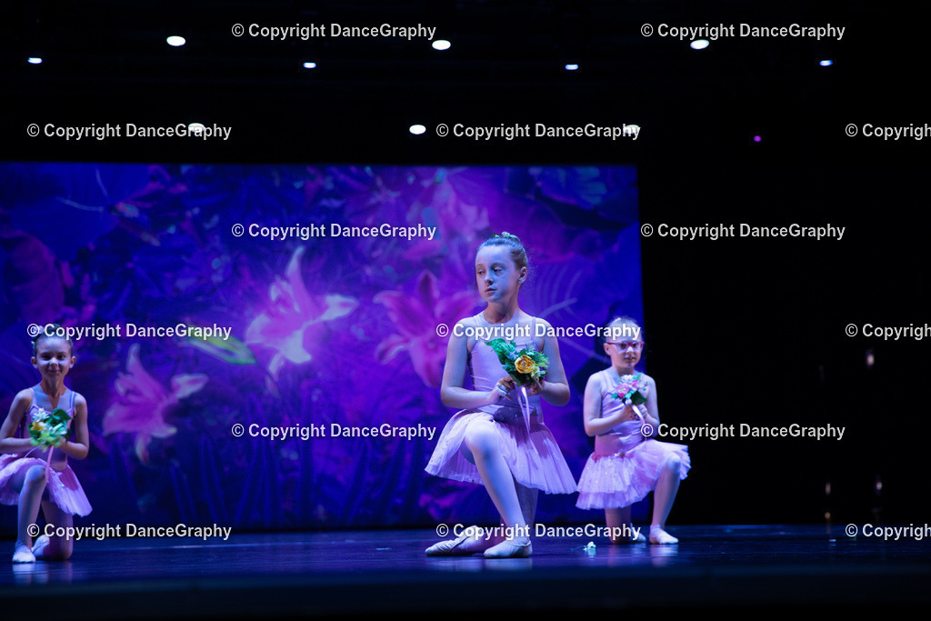 GPHY4887 | DanceGraphy - Realisiert mit Pictrs.com