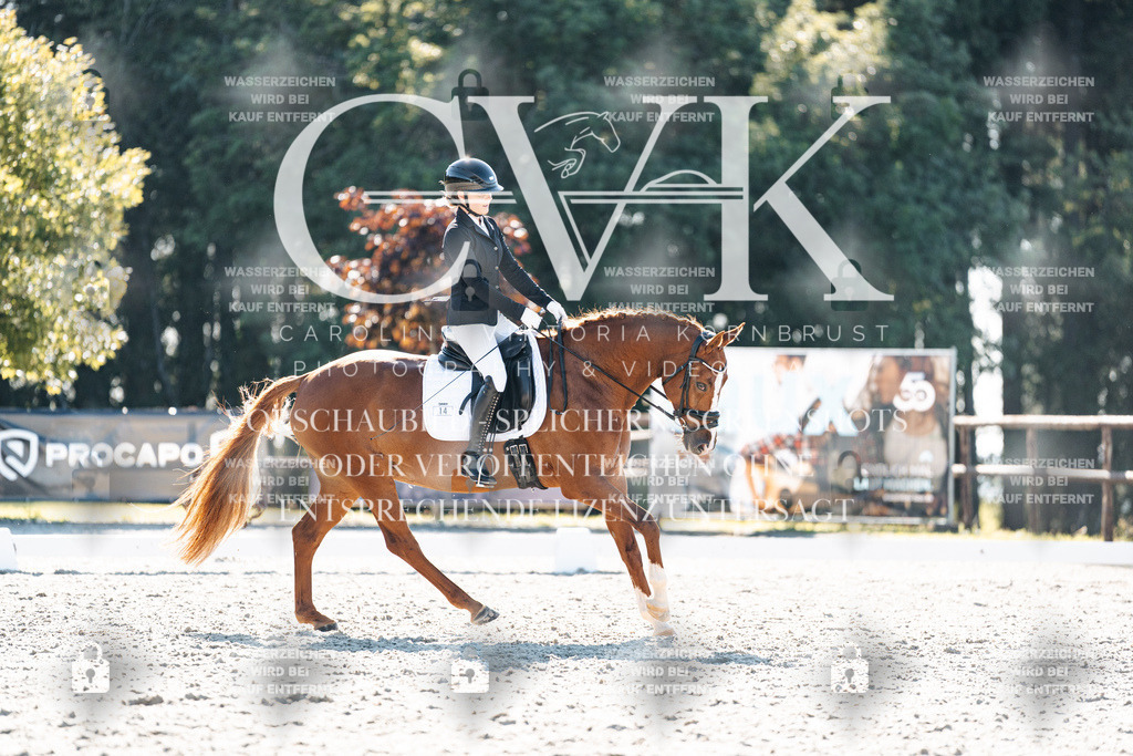 CK906080 | Turnierfotografie Pferdefotografie Trier Rheinland-Pfalz Pferdesport Reitsport Tierfotografie Sportfotografie Pferdevideo Pferdevideografie Equestrianvideography equestrianphotography  - Realisiert mit Pictrs.com