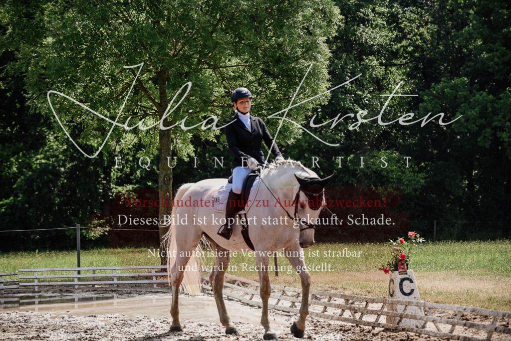 DSC_0383 | Pferde- und Turnierfotografie in Westsachsen. Pferdeportraits, Auftragszeichnungen und intuitive Kunst.