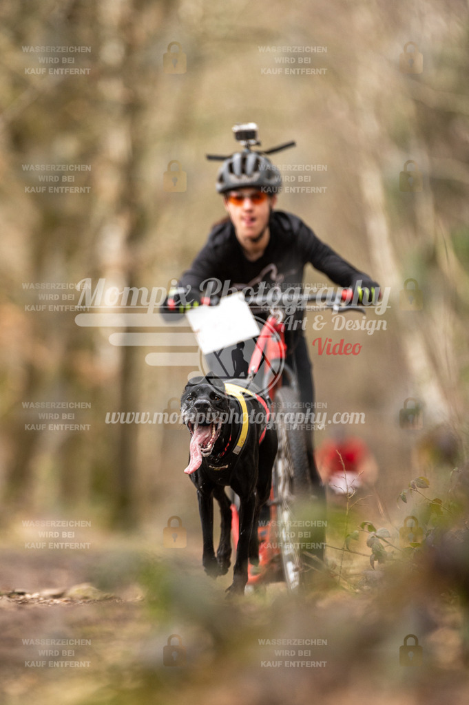 SPA_2023_SAM_Scooter-25 | PayLife