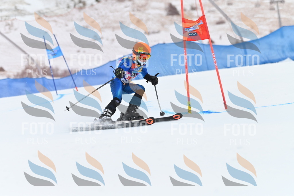 BGV_9705 | holidayphoto