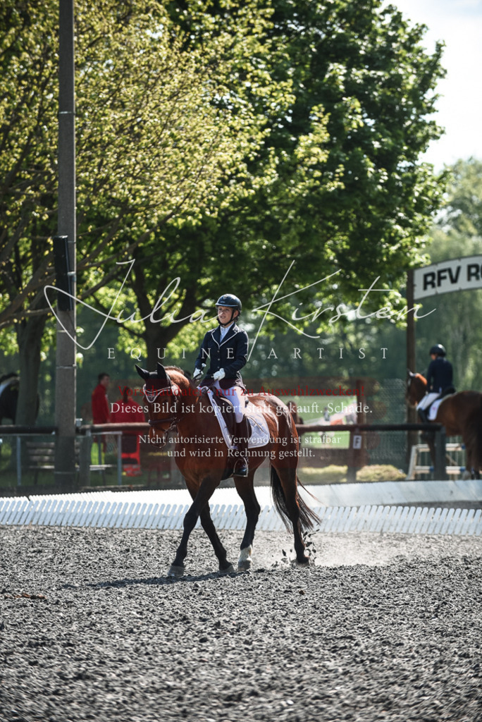 DSC_8874 | Pferde- und Turnierfotografie in Westsachsen. Pferdeportraits, Auftragszeichnungen und intuitive Kunst.