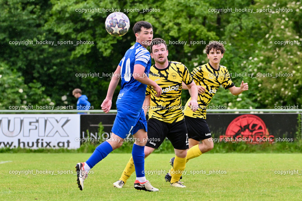 SV Wernberg vs. FC Faakersee | #10 Dominik Popovic SV Wernberg, #13 Martin Tschernuth FC Faakersee, #16 Tobias Felix Waldner FC Faakersee, SV Wernberg vs. FC Faakersee, SV Wernberg vs. FC Faakersee am 01.06.2024 in Wernberg (Sportplatz Wernberg), Austria, (Photo by Bernd Stefan)