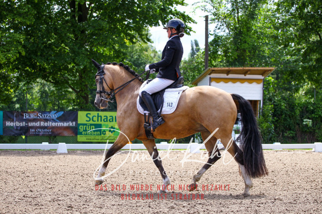 DKP40923 | Turnierfotos kaufen im Webshop von Daniel Kuhl Photography – entdecke professionelle Reitsportfotos aus Turnieren & Events. Hochwertige Turnierbilder online bestellen & sichern. Jetzt Fotos von Reitsportturnieren kaufen!