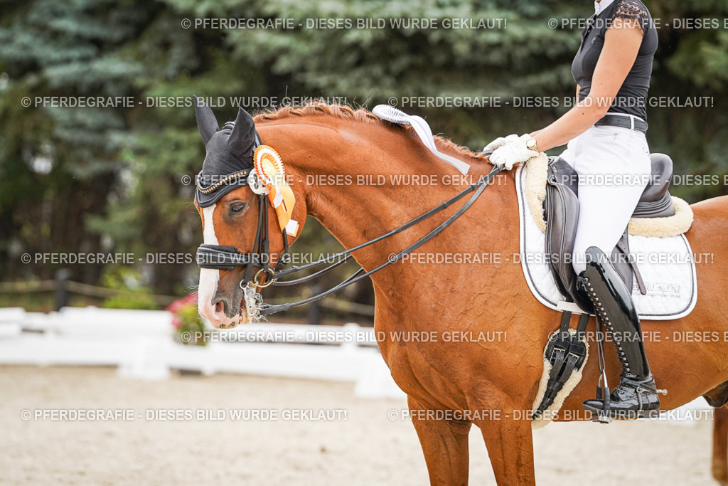 DSC08102 | Pferdegrafie