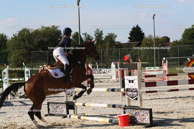 OHT 2022 Röhlingen (99) | Fotografie, Tiere, Hunde, Katzen, Pferde, Sportfotografie, Fotosession, Tierfotografie, Turnierfotografie, Fotografin, Fotograf - Realisiert mit Pictrs.com