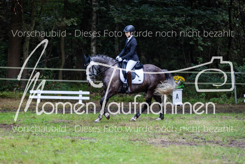 HB-A-Dressur-071 | MomenTaufnahmen Pferdesportfotos