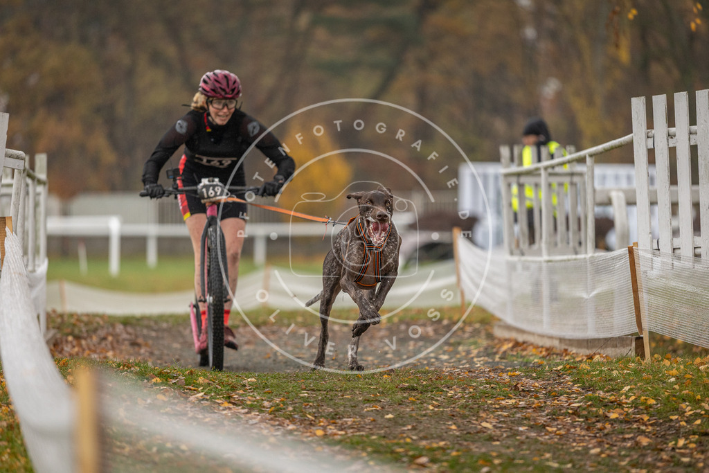 CaniXpix_DV3A8321 | Hundefotografie, Tierfotograf, Pfotenfotografie, Fotoshooting Hund, Hunde Portrait, Hundesport, Hundeportraits, Heideshooting, Hunde, Sportfotograf, Hundefotograf, Turnierhundsport, THS,  - Realisiert mit Pictrs.com