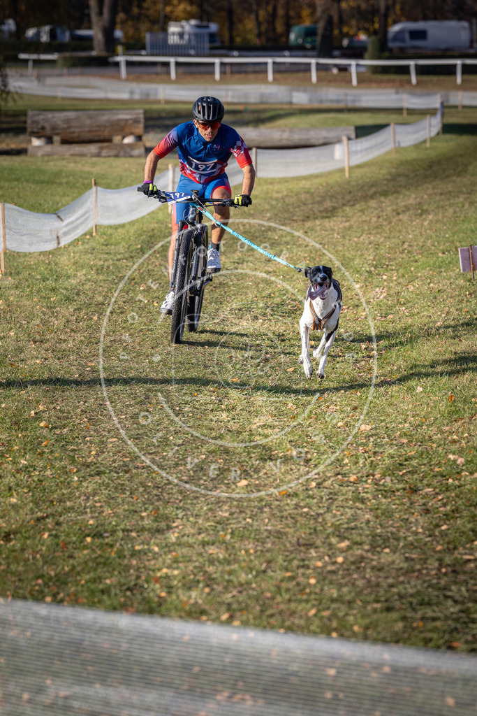 CaniXpix_DV3A2618 | Hundefotografie, Tierfotograf, Pfotenfotografie, Fotoshooting Hund, Hunde Portrait, Hundesport, Hundeportraits, Heideshooting, Hunde, Sportfotograf, Hundefotograf, Turnierhundsport, THS,  - Realisiert mit Pictrs.com