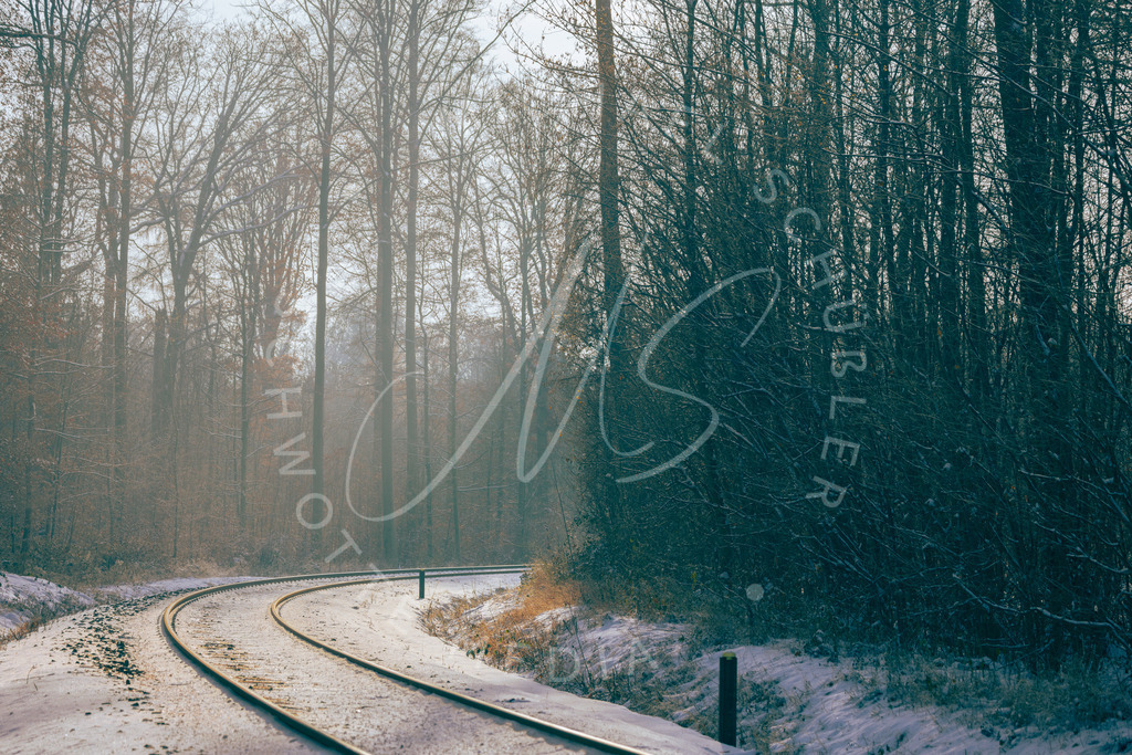 Schienen im Wald quer | Schwotte Media - Realisiert mit Pictrs.com