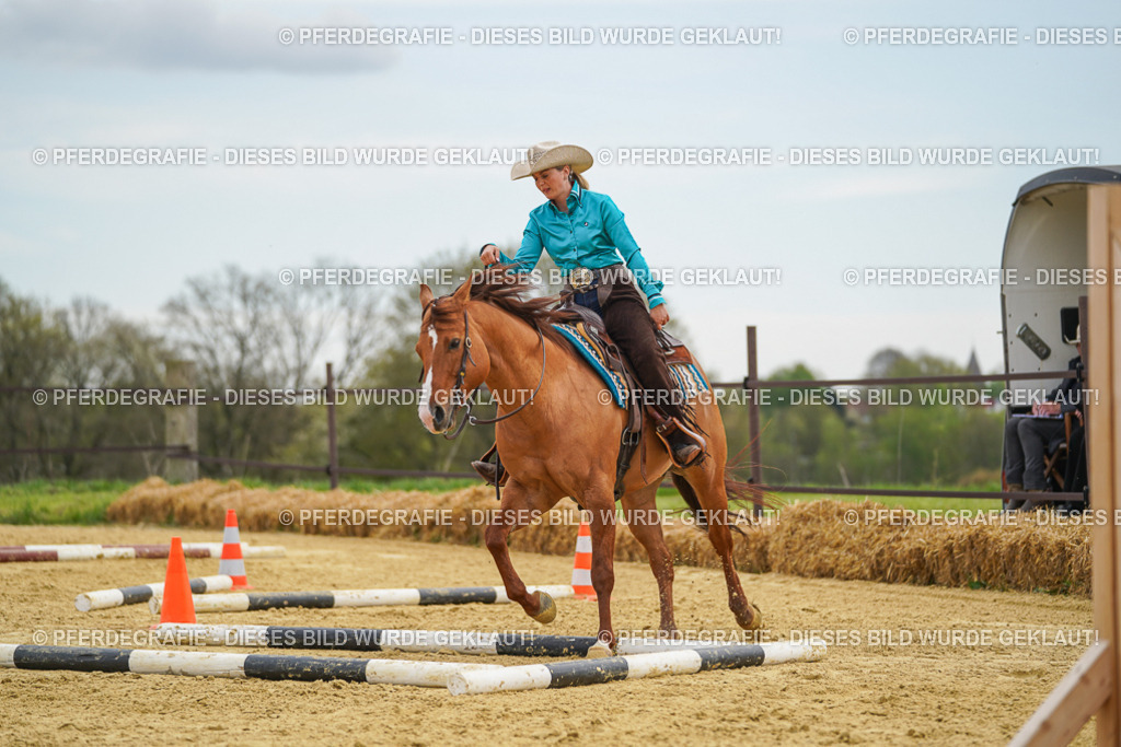 DSC03080 | Pferdegrafie