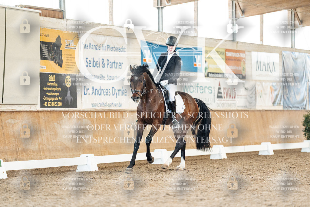 CK908561 | Turnierfotografie Pferdefotografie Trier Rheinland-Pfalz Pferdesport Reitsport Tierfotografie Sportfotografie Pferdevideo Pferdevideografie Equestrianvideography equestrianphotography  - Realisiert mit Pictrs.com
