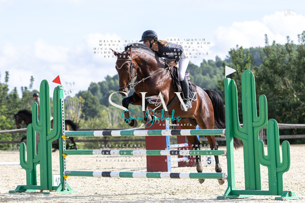 IMG_3747 | s-jay-photography - Realisiert mit Pictrs.com