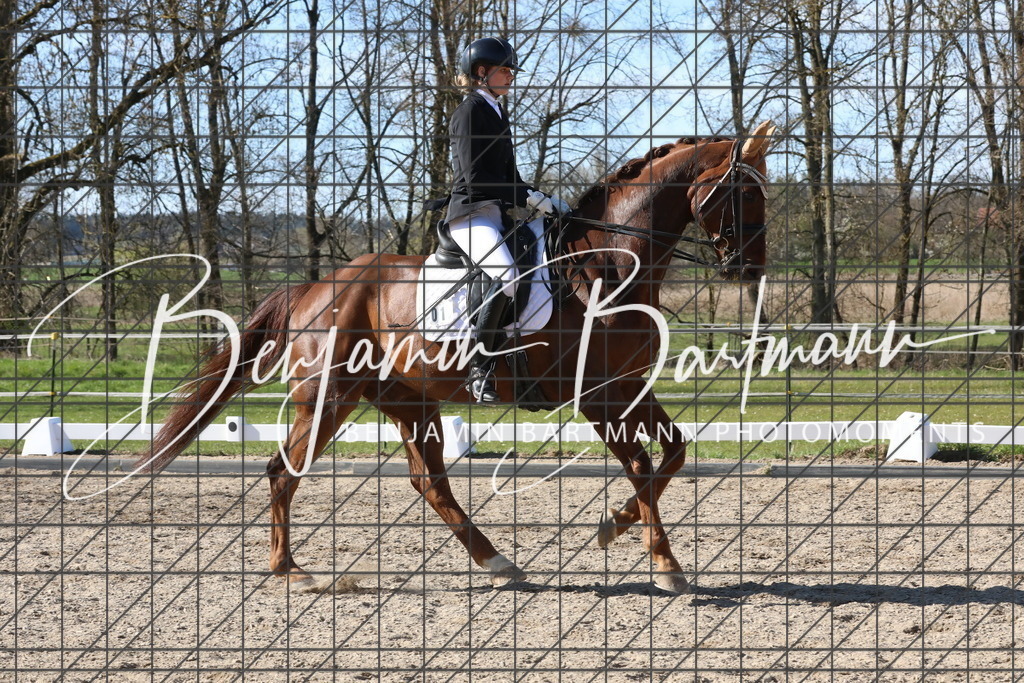 AZ2A5141 | Benjamin Bartmann Photomoments