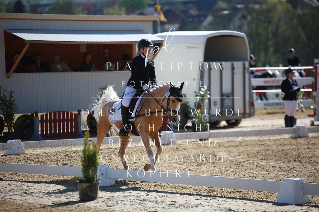 IMGT9964 | pl-fotografie