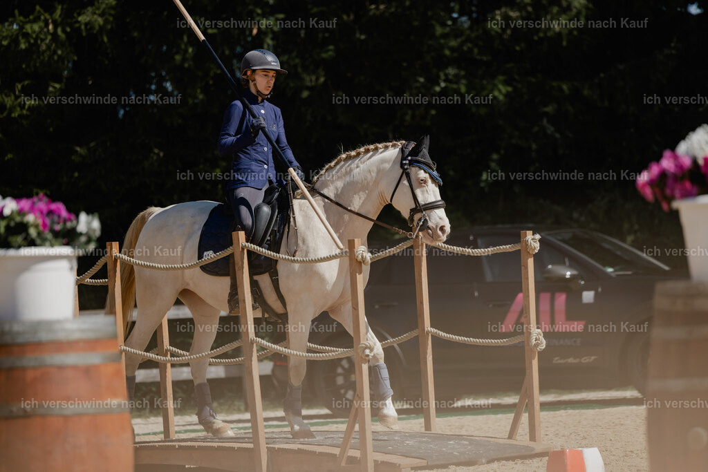 Nici11_FHC2025-27236 | working equitationturnier fotograf videograf stoibphotography marixx film working equitation deutschland reitsport turnierfotografie eventfotografie equestrian events