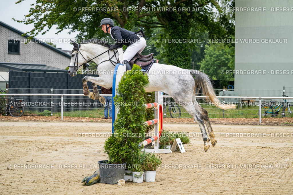 DSC01345 | Pferdegrafie