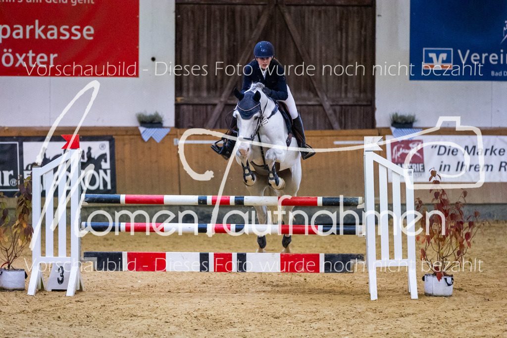 Sth-L-Springen-025 | MomenTaufnahmen Pferdesportfotos