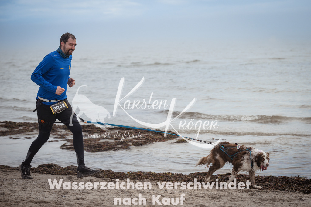 1146_ZZ91003 | kk-dogfotos