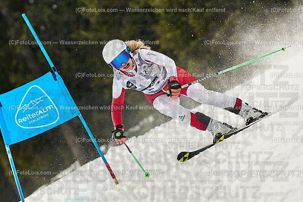 _WWO3964_MASTERS-WM_Reiteralm_CD-SG_FINZ Daniela | FISWORLD CHAMPIONSHIPSMASTERS ALPINE SKIING, 23. – 28. MÄRZ 2026 - REITERALM | STMK | AUT.   Veranstaltet vom Masters-Referat des Deutschen Skiverbandes (DSV). Durchführende Organisation: WSV Pichl-Reiteralm, unterstütutzt von den Bergbahnen REITERALM bei Schladming und SKI AUSTRIA.                            Disziplinen:  Super-G, GiantSlalom, Slalom.                                                 Kategorien:  A (Herrn 30-59 Jahre), B (Herrn ab 60 Jahre), C (Damen 30-59 Jahre), D (Damen ab 60 Jahre).                Rennstrecken:   Gasselhöhe und Muldenliftpiste auf der Reiteralm.