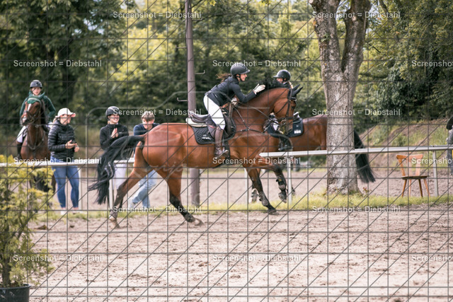 _W6A8521 | ronjaprokoschfotografie - Realisiert mit Pictrs.com