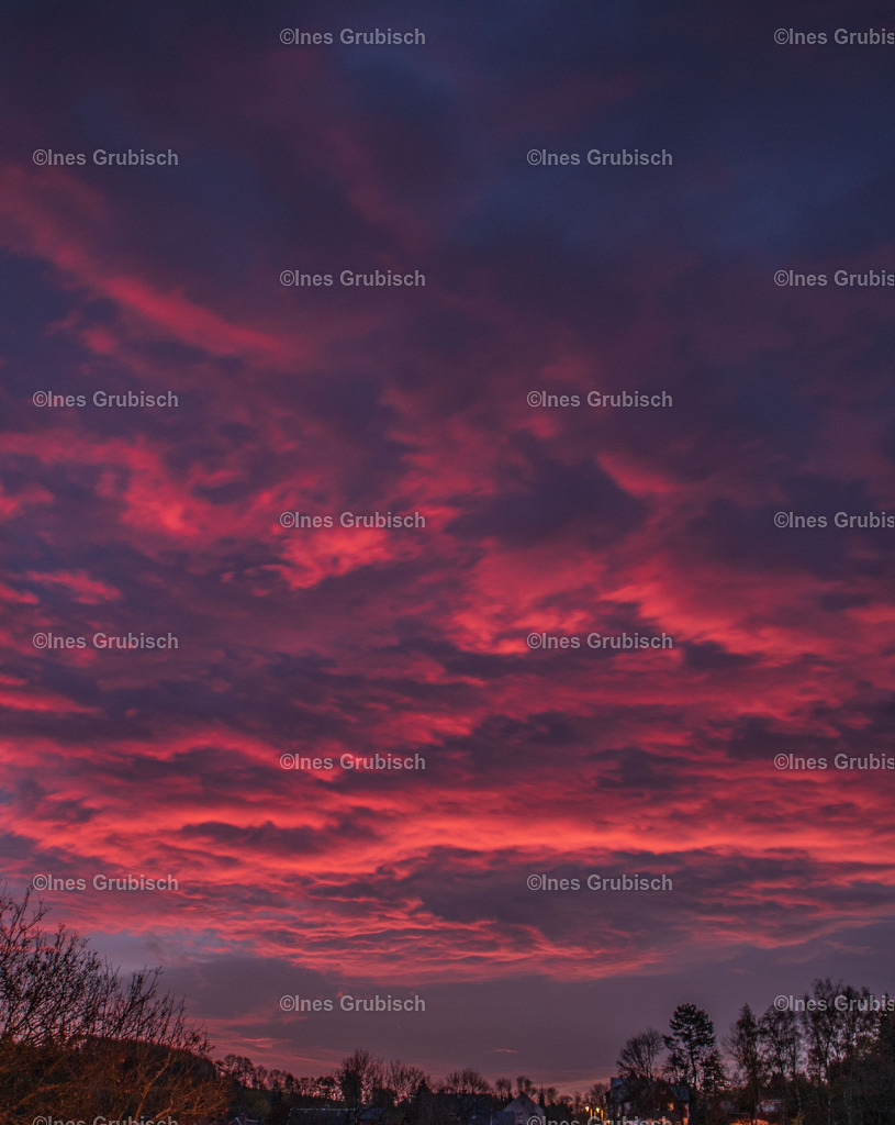 Blutrote Wolken bei Sonnenaufgang | Lila Lubbenbomm - Artwork by Ines Grubisch - Realisiert mit Pictrs.com