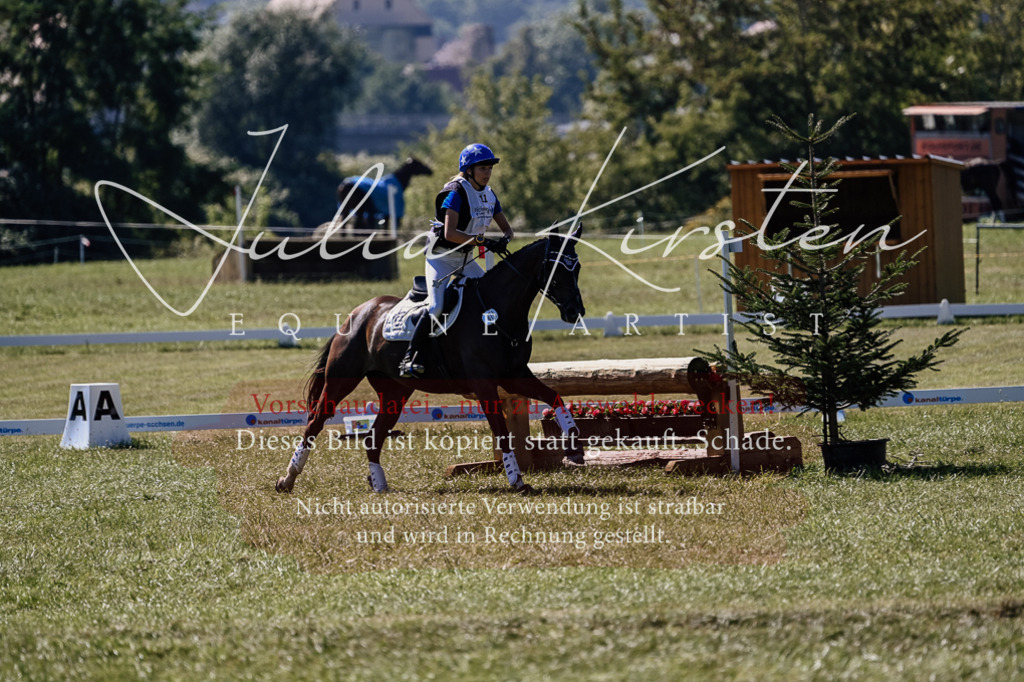 DSC_1686 | Pferde- und Turnierfotografie in Westsachsen. Pferdeportraits, Auftragszeichnungen und intuitive Kunst.