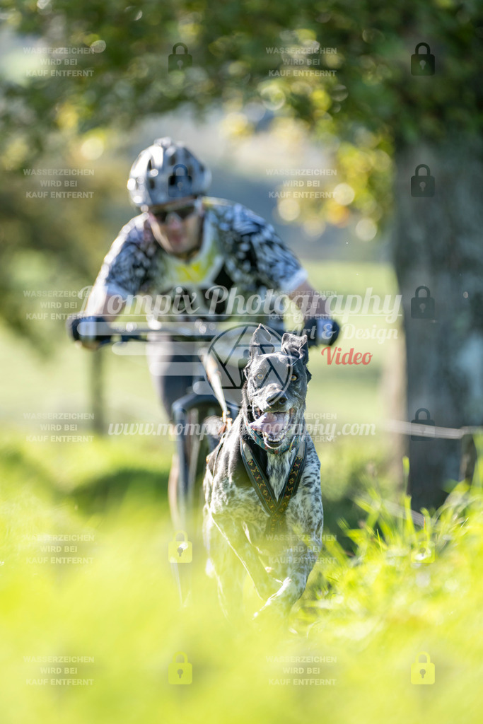 MompixPhotography_20TSB_E3_DS1-5 | PayLife