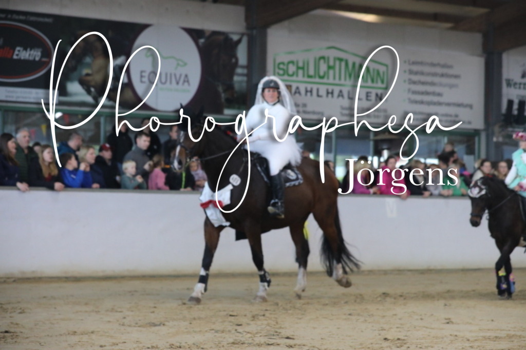 IMG_1782 | photographesa-joergens - Realisiert mit Pictrs.com