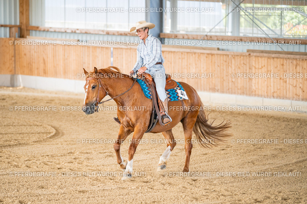 DSC02429 | Pferdegrafie