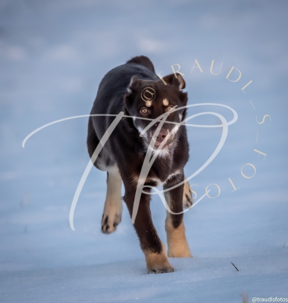 6A126EA3-E6A5-4029-AFDA-5C01AD96EB2E | traudl_s_fotos