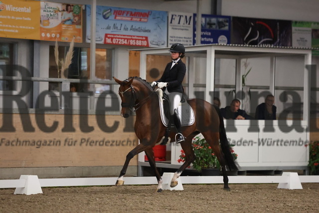 Waghäusel-Wiesental_2024_Prfg.Nr.08_1.WP_U25_Ann-Kathrin Lachemann_Bella Benicia L (4) | Alle Fotos der Reiterjournal Fotografin Doris Matthaes im Reiterjournal Online-Fotoshop. - Realisiert mit Pictrs.com